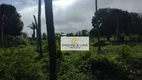 Foto 17 de Fazenda/Sítio com 10 Quartos à venda, 900m² em Setor Central, Araguaína