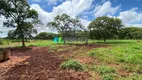 Foto 38 de Fazenda/Sítio com 3 Quartos à venda, 308m² em Zona Rural, Paraopeba