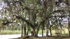 Foto 21 de Fazenda/Sítio com 2 Quartos à venda, 8500m² em Arraial dos Cunhas, Itajaí