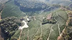 Foto 2 de Fazenda/Sítio à venda, 35000m² em , Manhumirim