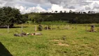 Foto 13 de Fazenda/Sítio com 4 Quartos à venda, 250m² em Zona Rural, Novo São Joaquim