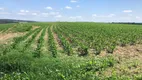 Foto 11 de Fazenda/Sítio com 3 Quartos à venda, 200m² em Area Rural de Itapetininga, Itapetininga