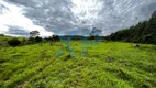 Foto 40 de Fazenda/Sítio com 3 Quartos à venda, 70m² em Zona Rural, Itaguara