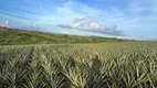 Foto 6 de Lote/Terreno à venda em Área Rural de Gravatá , Gravatá