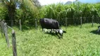 Foto 2 de Fazenda/Sítio com 2 Quartos à venda, 32000m² em Cotia, Guapimirim