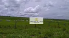 Foto 11 de Fazenda/Sítio com 8 Quartos à venda, 900m² em Setor Central, Araguaína
