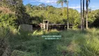 Foto 14 de Fazenda/Sítio à venda, 217800m² em Zona Rural, Abadiânia