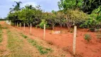 Foto 16 de Fazenda/Sítio com 2 Quartos à venda, 200m² em Distrito Industrial, Uberlândia
