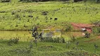 Foto 11 de Fazenda/Sítio com 1 Quarto à venda, 5000m² em Jardim Santa Clara, Uberaba