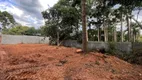 Foto 9 de Lote/Terreno à venda, 1600m² em Planta Meireles, Piraquara