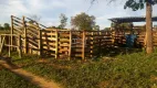 Foto 22 de Fazenda/Sítio com 3 Quartos à venda, 139m² em Zona Rural, Januária