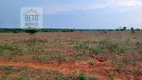 Foto 8 de Fazenda/Sítio à venda, 113740000m² em Zona Rural, São Félix do Xingu