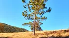 Foto 24 de Fazenda/Sítio à venda, 854000m² em Zona Rural, São José dos Campos