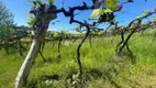 Foto 120 de Lote/Terreno à venda, 300000m² em , Monte Belo do Sul