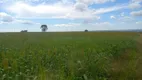 Foto 2 de Fazenda/Sítio com 7 Quartos à venda, 707m² em , Campo Alegre de Goiás