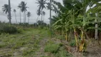 Foto 6 de Fazenda/Sítio com 3 Quartos à venda, 5000m² em Centro, Rio do Fogo