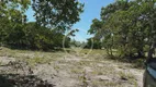 Foto 8 de Fazenda/Sítio à venda, 41m² em Zona Rural, Goiás