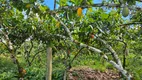 Foto 4 de Fazenda/Sítio à venda em Centro, Barro Preto