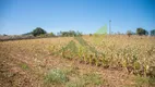 Foto 3 de Lote/Terreno à venda, 200m² em Rio Abaixo, Atibaia