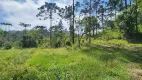 Foto 48 de Fazenda/Sítio com 5 Quartos à venda, 435600m² em Campo Alto, Tijucas do Sul