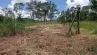 Foto 18 de Fazenda/Sítio à venda, 20000m² em Paiao, Guararema