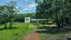 Foto 46 de Fazenda/Sítio com 5 Quartos para alugar, 250m² em Area Rural de Araguari, Araguari