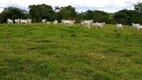 Foto 5 de Fazenda/Sítio com 2 Quartos à venda, 10m² em Area Rural de Caldas Novas, Caldas Novas