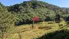 Foto 10 de Fazenda/Sítio com 3 Quartos à venda, 230m² em Palestina, Juquitiba