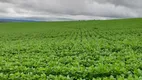 Foto 2 de Fazenda/Sítio à venda em Zona Rural, Alto Paraíso de Goiás