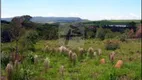 Foto 4 de Lote/Terreno à venda em Pinhal, Cabreúva