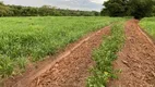 Foto 15 de Fazenda/Sítio com 2 Quartos à venda, 551000m² em Centro, Rio Verde de Mato Grosso