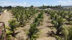 Foto 2 de Fazenda/Sítio à venda, 400m² em Ilha de Santa Rita, Marechal Deodoro