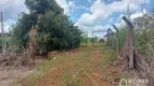 Foto 9 de Fazenda/Sítio com 1 Quarto à venda, 3850m² em Zona Rural, Marialva