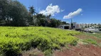 Foto 3 de Lote/Terreno com 1 Quarto à venda, 465m² em Centro, Jandaia do Sul