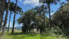 Foto 25 de Fazenda/Sítio à venda em Zona Rural, Urubici