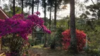 Foto 22 de Casa com 4 Quartos à venda, 1400m² em Centro, São Francisco de Paula