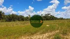 Foto 12 de Fazenda/Sítio à venda, 36106400m² em Zona Rural, Taipas do Tocantins