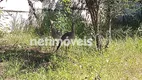 Foto 19 de Casa com 4 Quartos à venda, 1600m² em Zona Rural, Resende Costa