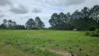 Foto 4 de Lote/Terreno à venda, 30000m² em Laranjal, Pelotas