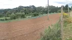 Foto 8 de Fazenda/Sítio à venda, 65000m² em Zacarias, São José dos Pinhais