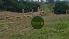 Foto 11 de Fazenda/Sítio à venda, 1694000m² em Zona Rural, Carmo do Rio Verde