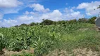 Foto 3 de Fazenda/Sítio com 4 Quartos à venda, 20000m² em Centro, Rio do Fogo