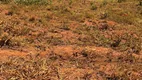 Foto 5 de Lote/Terreno à venda, 2332m² em Área Rural, Novo Gama