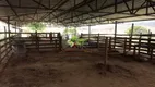 Foto 42 de Fazenda/Sítio com 5 Quartos à venda, 298000m² em Zona Rural, Simão Pereira