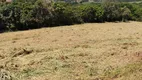 Foto 5 de Lote/Terreno à venda, 6225m² em Chácara dos Pinhais, Boituva
