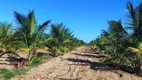 Foto 26 de Fazenda/Sítio com 2 Quartos à venda, 50m² em Zona Rural, Touros