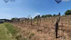 Foto 2 de Fazenda/Sítio à venda, 200m² em Caixa d Agua, Vinhedo