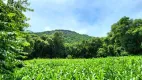 Foto 18 de Fazenda/Sítio com 2 Quartos à venda, 80000m² em , Nova Petrópolis