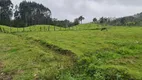 Foto 32 de Fazenda/Sítio com 1 Quarto à venda, 5000m² em Centro, Anitápolis