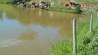 Foto 16 de Fazenda/Sítio com 2 Quartos à venda, 28m² em Área Rural de Cocalzinho Goiás, Cocalzinho de Goiás